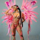 Elaborate Carnival Costume with Pink Feathers and Bejeweled Accents