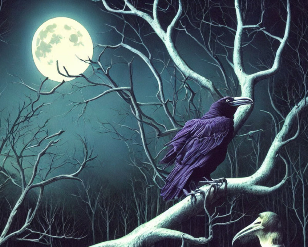 Raven perched on gnarled branch under full moon.