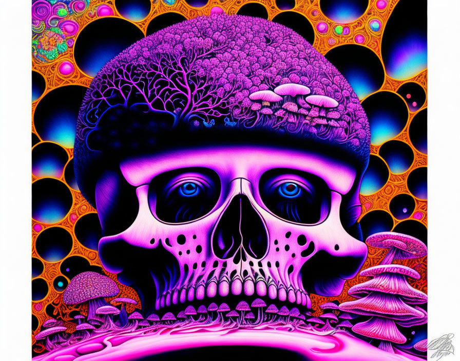 Colorful artwork of human skull with exposed brain, psychedelic patterns, and mushrooms.