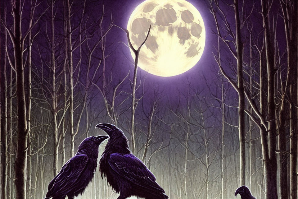 Moonlit forest scene with two ravens and full moon
