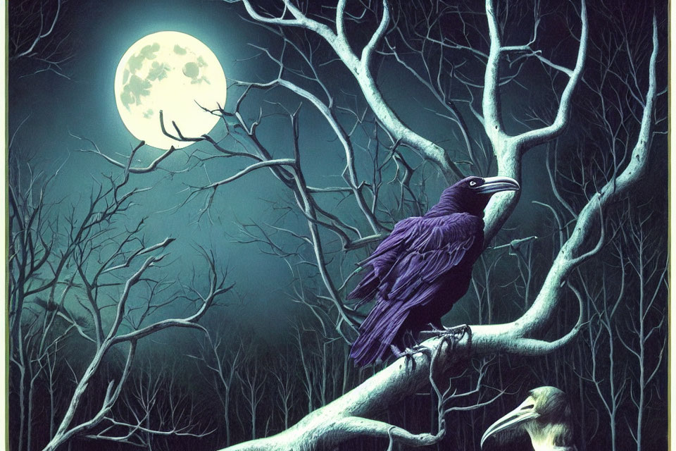 Raven perched on gnarled branch under full moon.