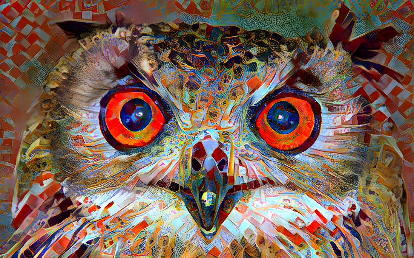 Prismatic Spotted Owl