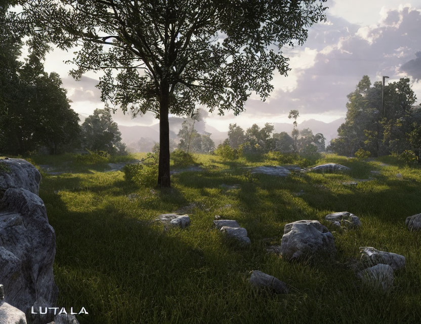 Tranquil forest glade with rocks, tree, and misty mountains
