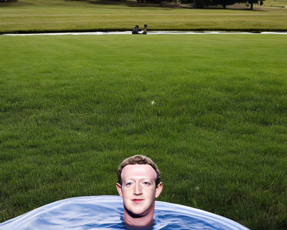 Digitally altered image of man's face in water with grassy landscape & people.