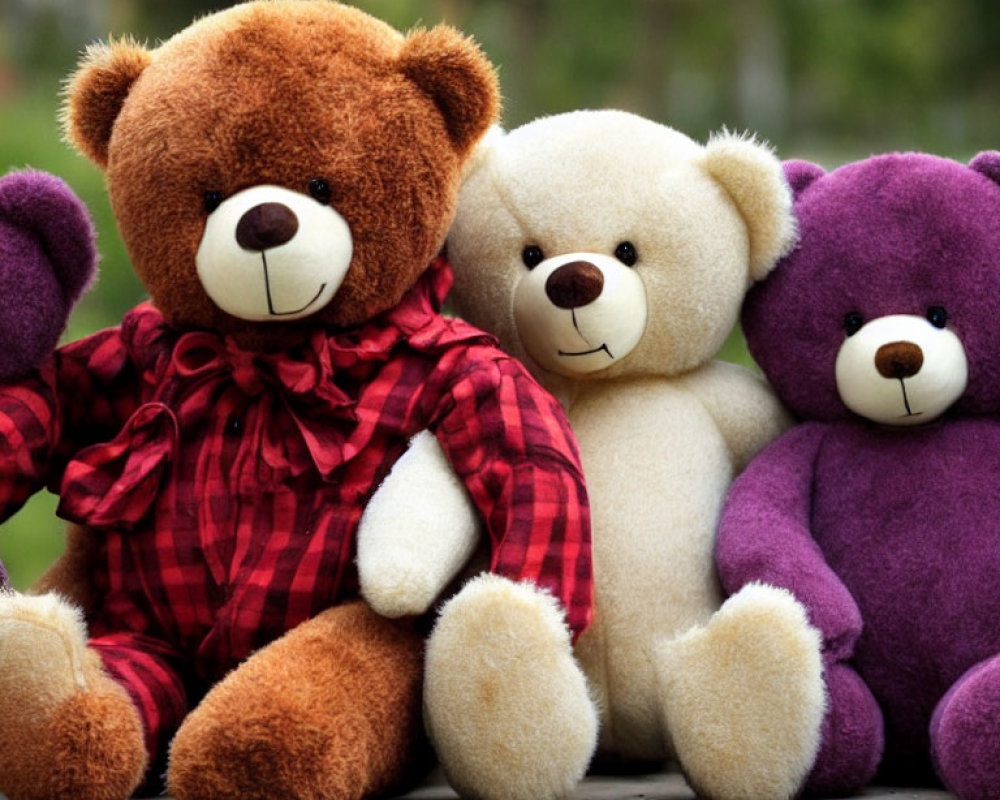Three Plush Teddy Bears in Brown, Cream, and Purple on Green Background