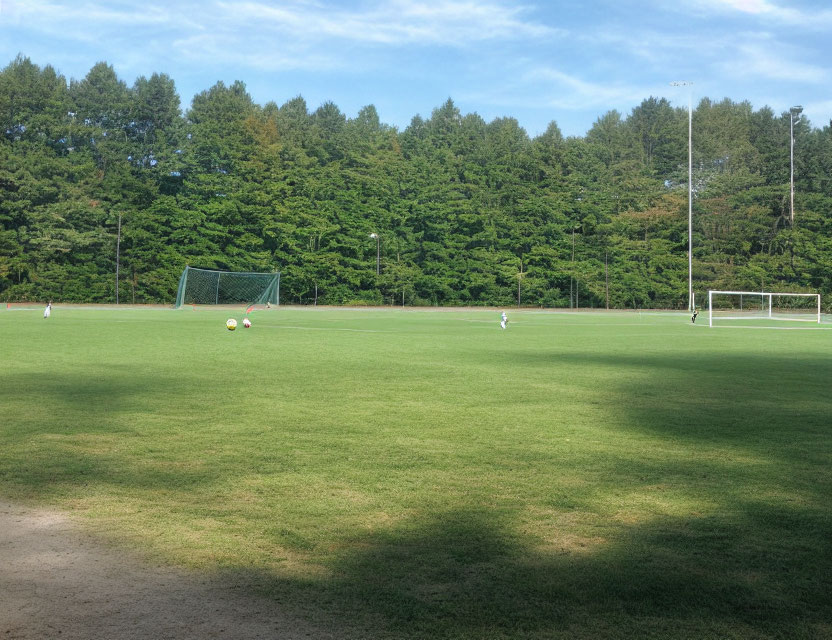 Tranquil Soccer Field with Trees and Goalposts