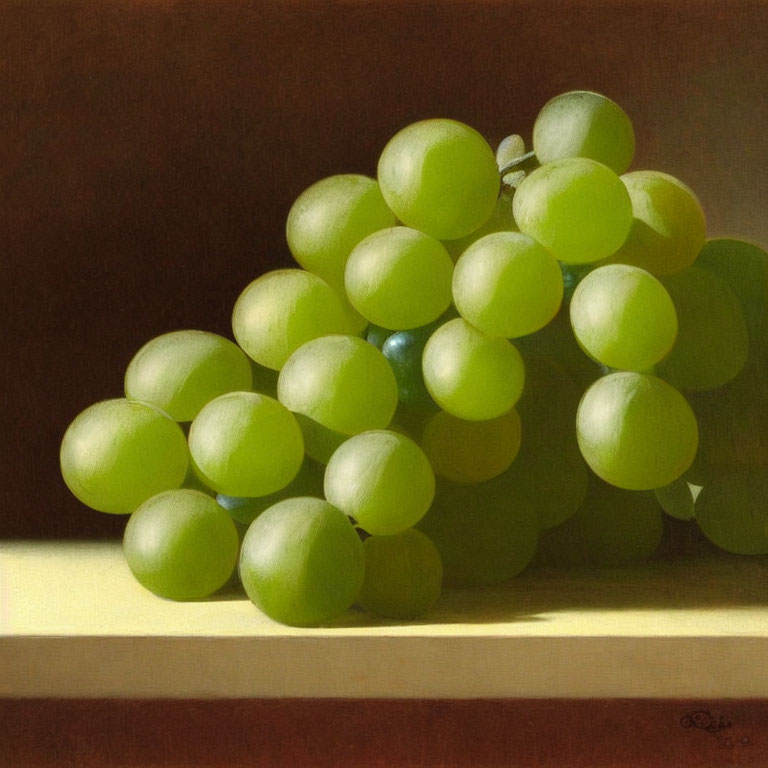 Realistic painting of green grapes with light and shadow on dark background