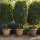Three Broad-Leaved Green Potted Plants Against Orange Wall