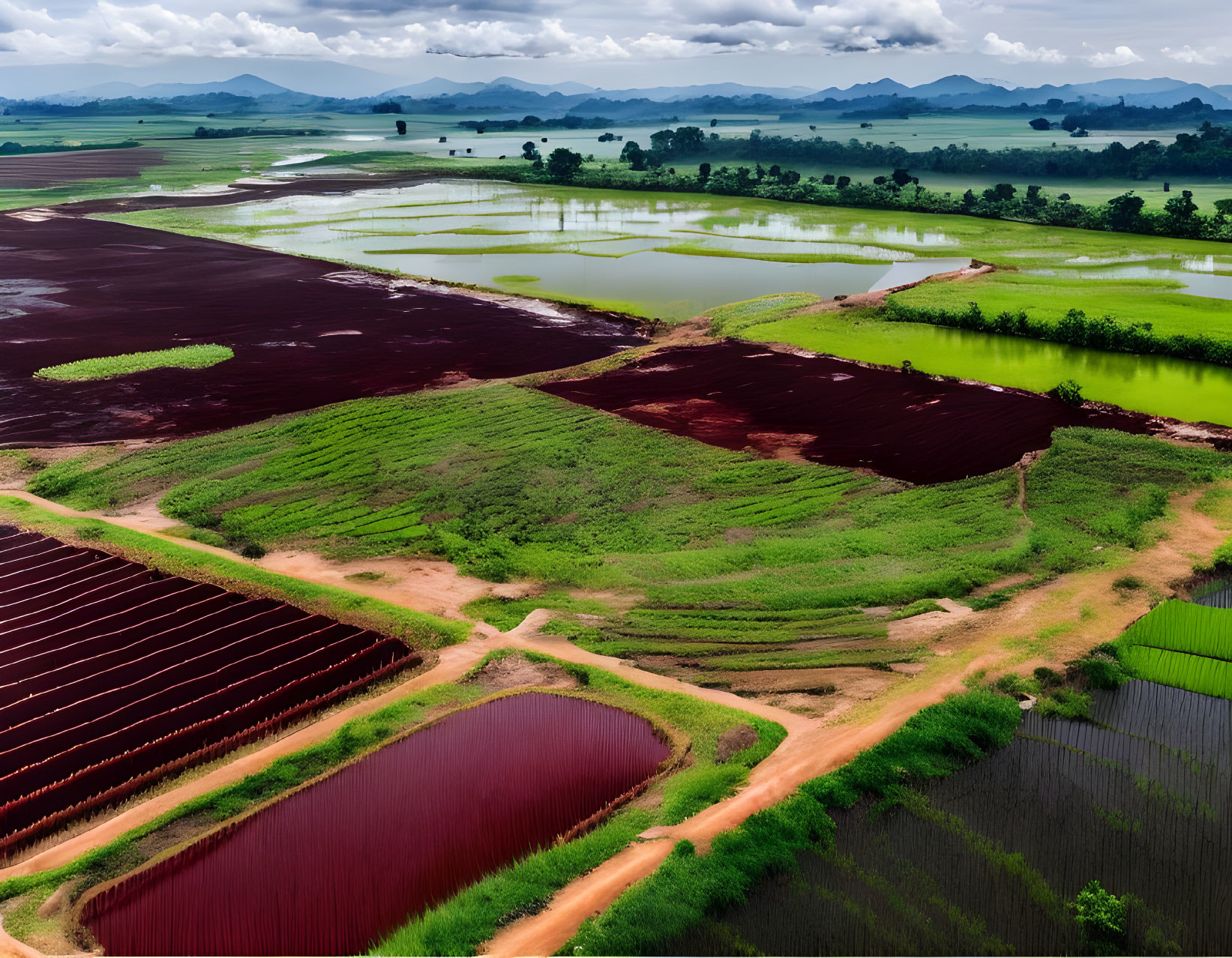 Colorful Aerial View of Flooded Agricultural Fields in Green, Brown, and Red