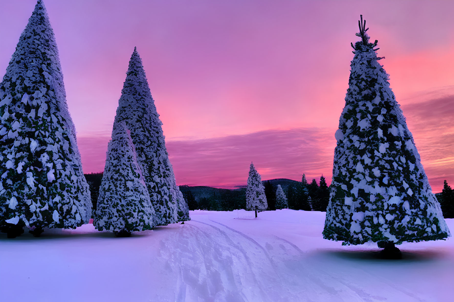 Winter scene: snow-covered trees against pink and purple dusk sky