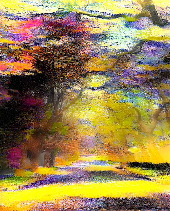 Blurry Colorful Forest