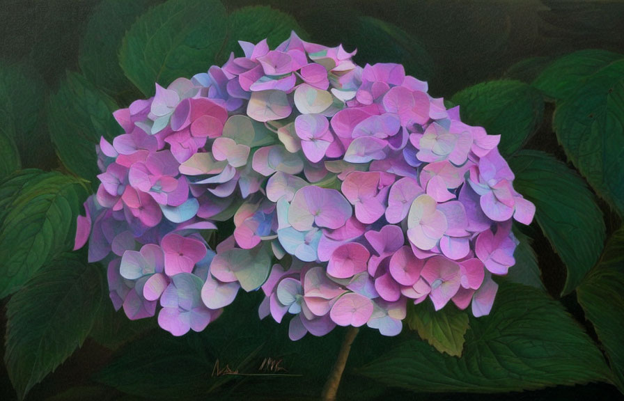 Colorful Hydrangea Painting with Pink and Blue Blossoms on Green Leaves