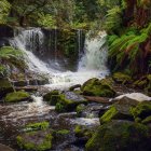 Tranquil waterfall in lush woodland oasis