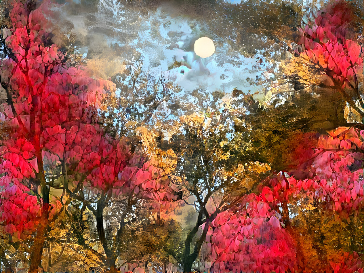 Full Moon Autumn Deep Dream