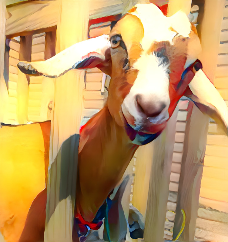 Maude the Goat