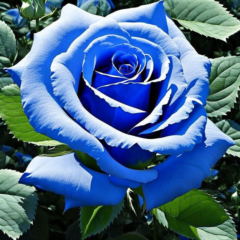 Vibrant Blue Rose with Layered Petals and Green Leaves