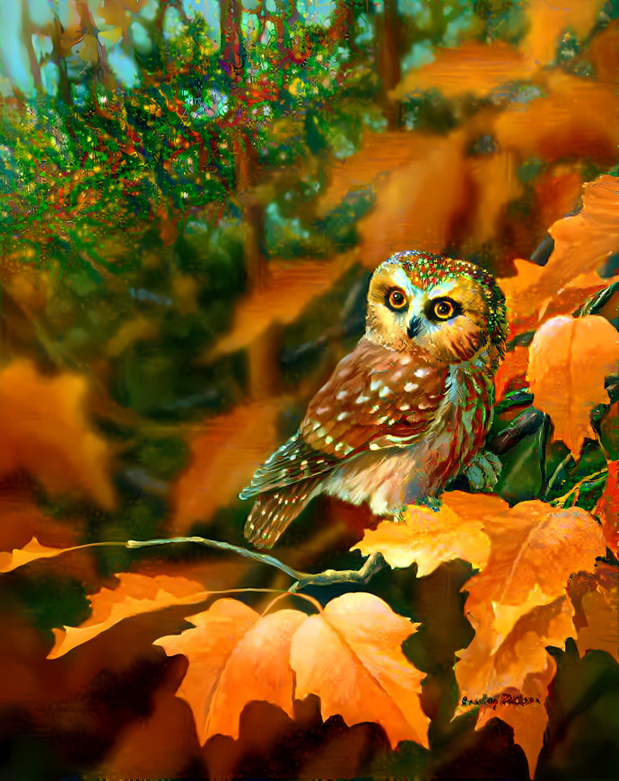 Owl in the autumn forest