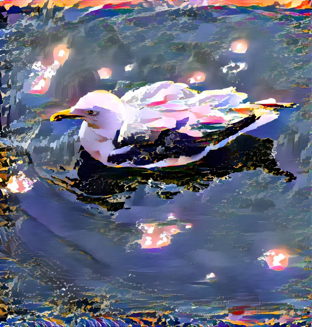 Reflecting on a Seagull