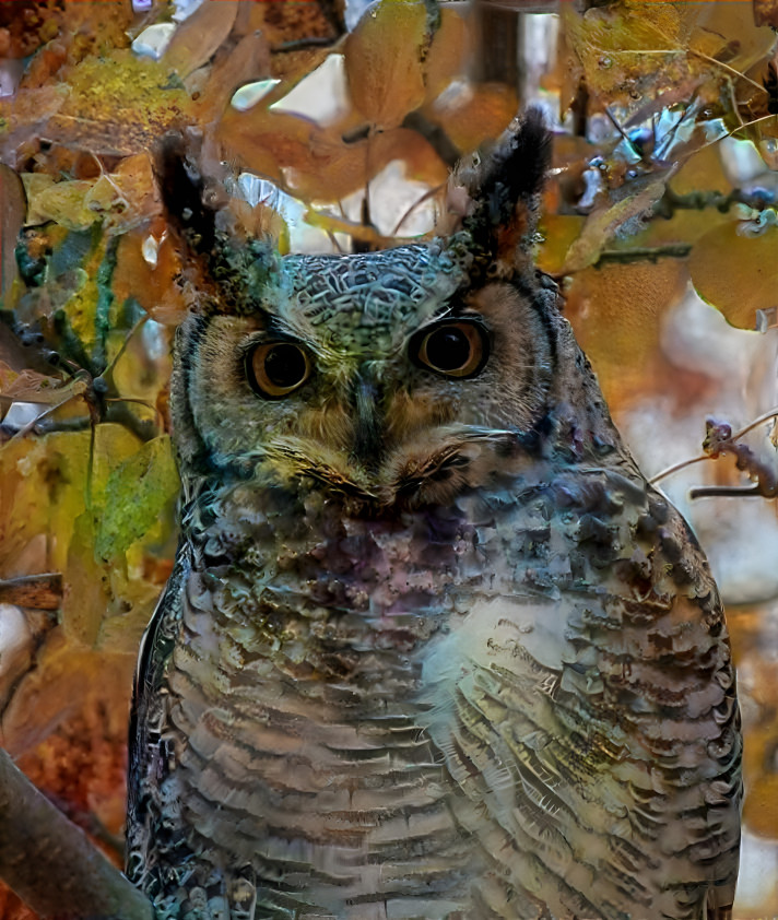Owl - v12