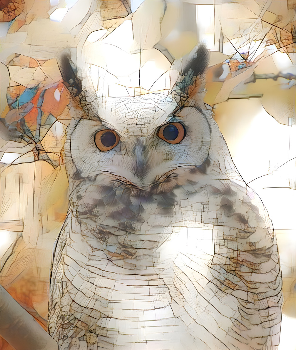 Owl - v4