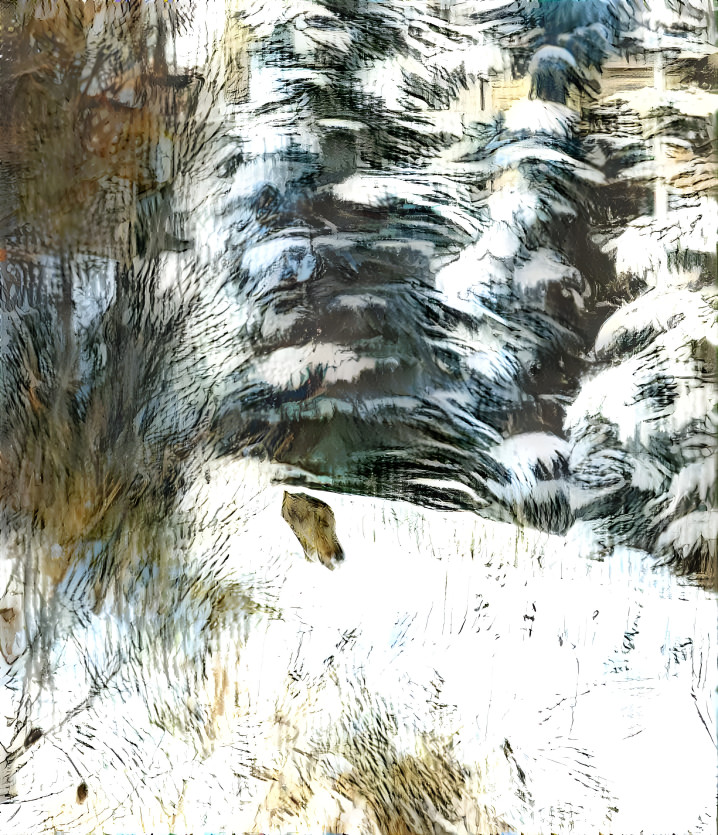 Winterscape with a coyote