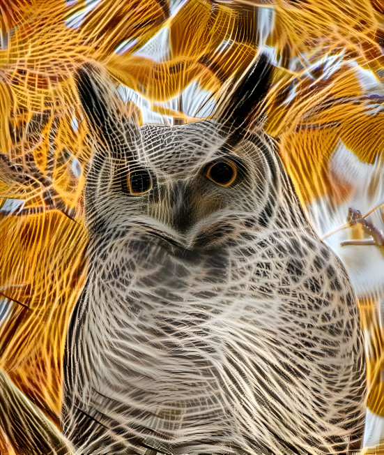  Owl - v5