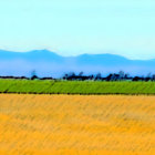 Panoramic Landscape Painting: Golden Fields, Blue Mountains, Yellow Sky