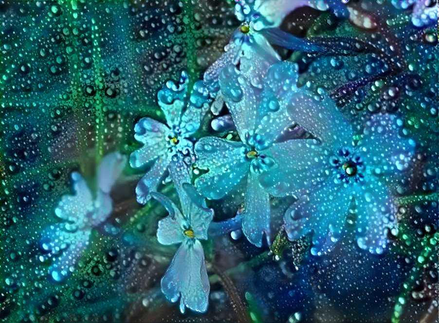 Blue Flowers on rainy day...