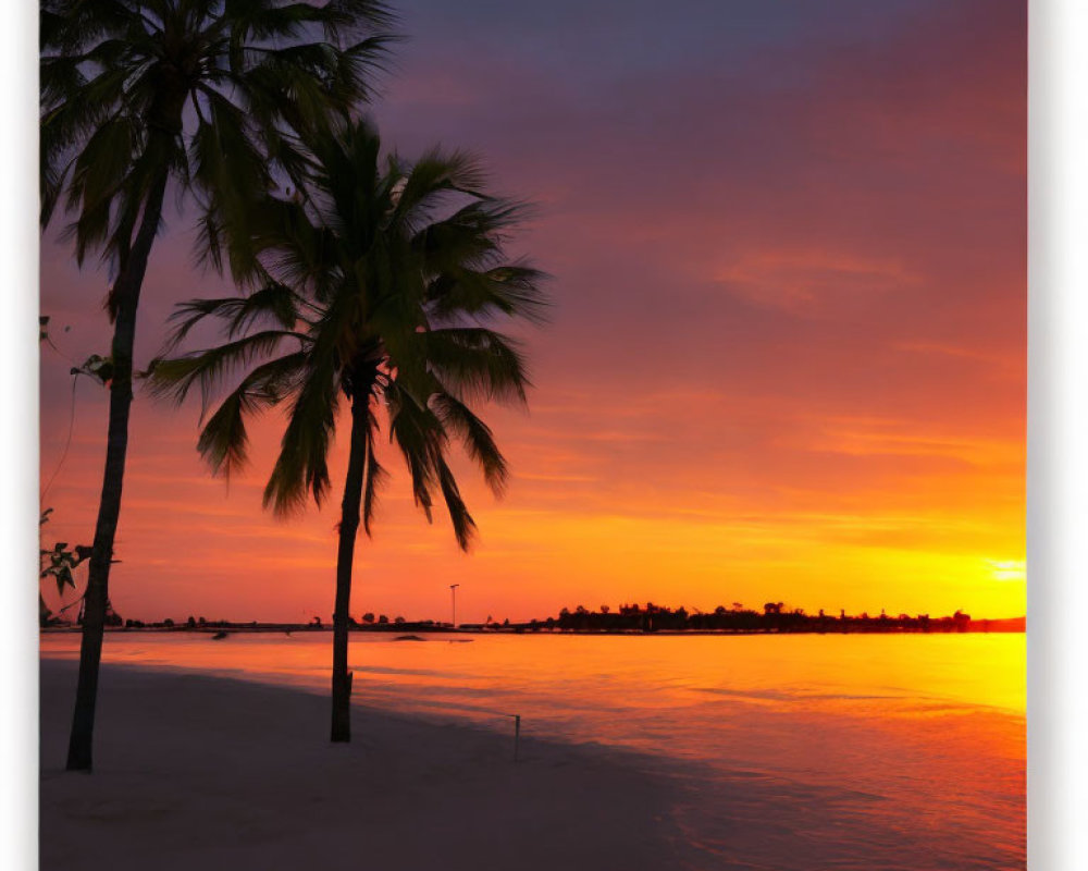 Colorful sunset over calm sea with palm tree silhouettes on sandy beach