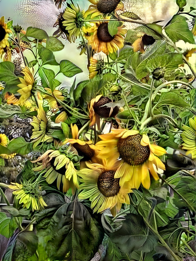 Sunflowers at squidstock '22