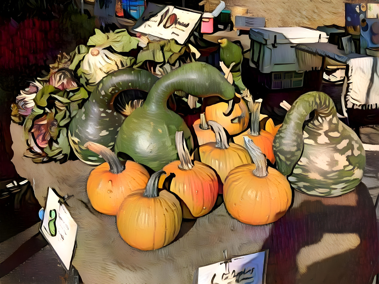 Pumpkins and Gooseneck Gourds