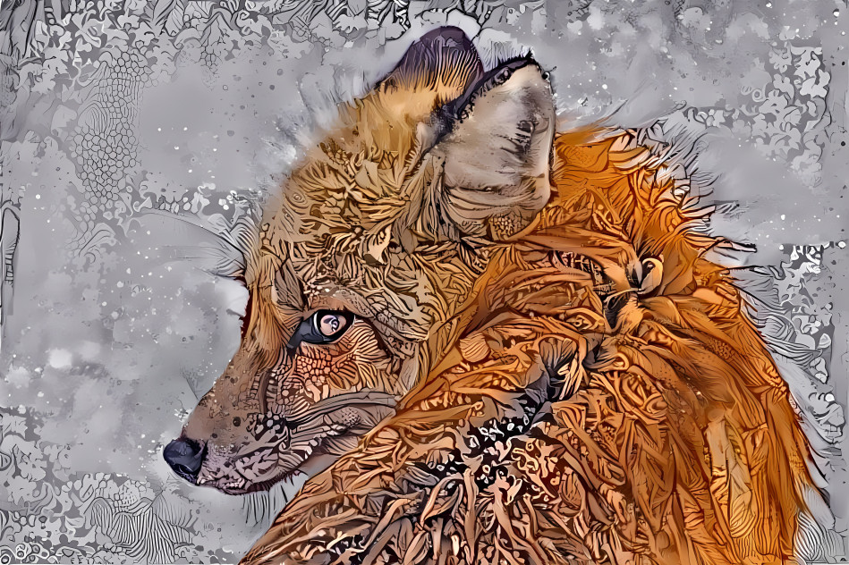 Fox on the Rocks