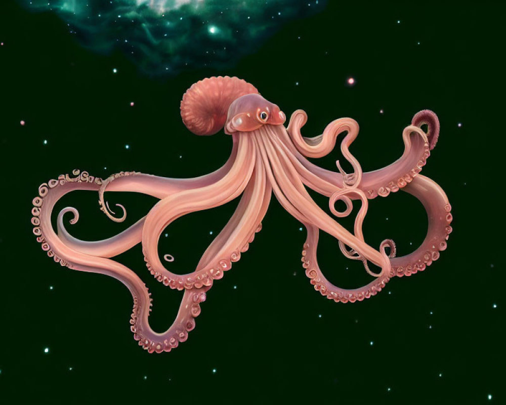 Symmetrical octopus illustration in cosmic setting