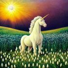White unicorn in blooming flower field at sunset