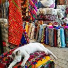 Assortment of Colorful Fabrics with Intricate Patterns and Serene Cats