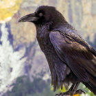 Detailed digital artwork: Majestic raven with golden and purple embellishments perched on golden structure against