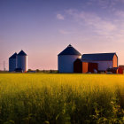 Rural landscape with red barn, silos, and blooming wildflowers at dusk