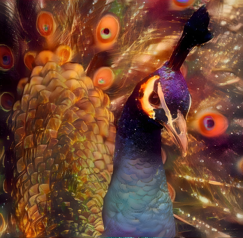 Peacock Glam