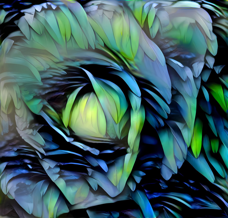 Feather Cabbage