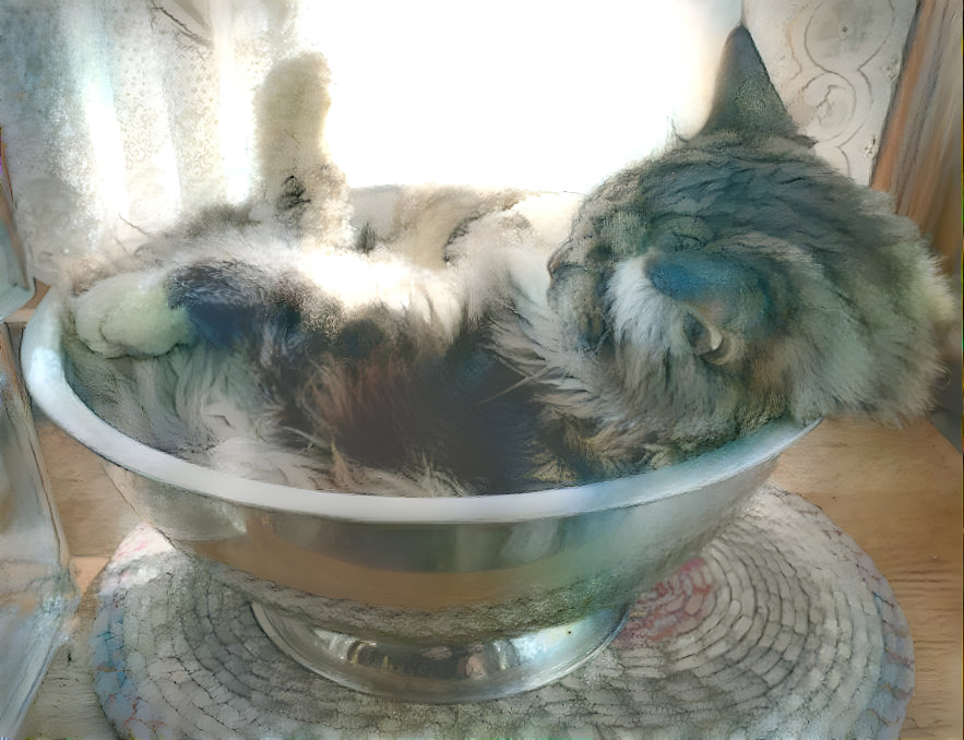 Kitty Bowl Napping