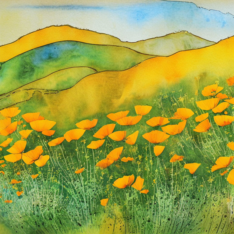 Vibrant Orange Poppies in Watercolor Painting on Rolling Hills