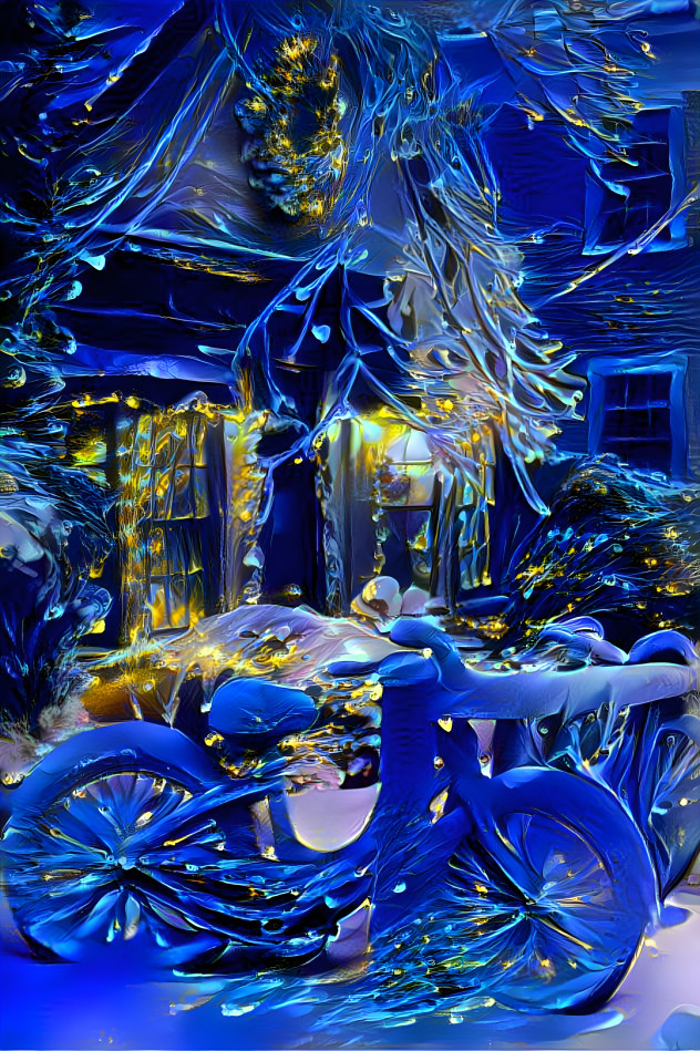 Snowy Night Bike