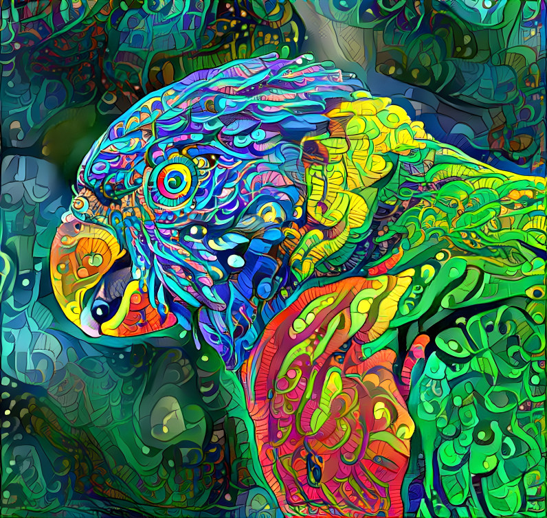 Pastel Parrot