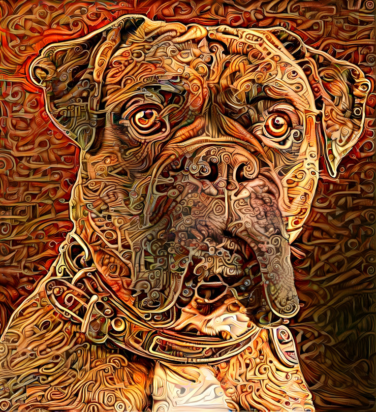 Butch the Boxer