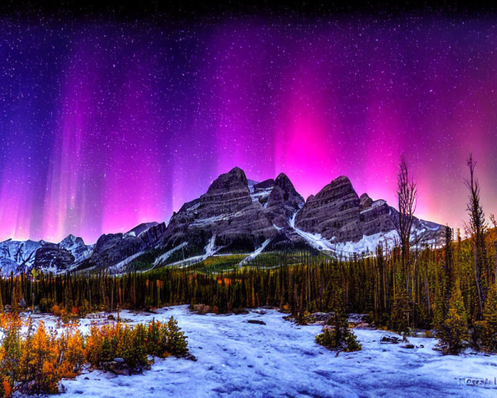 Northern Lights illuminate snow-covered mountain range and forest under starry sky