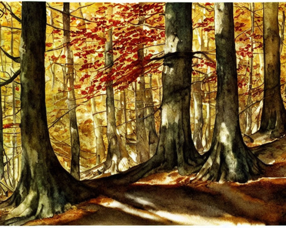 Autumn forest watercolor painting with sunlight filtering through trees