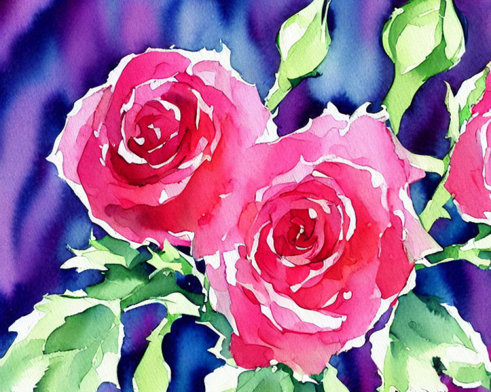 Three pink roses watercolor painting on abstract purple and blue background