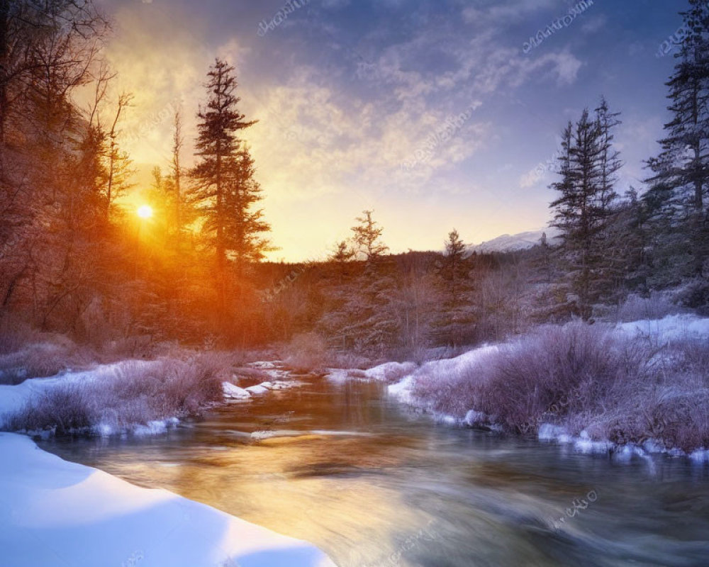Snowy landscape with sunset over flowing river and frosted trees.