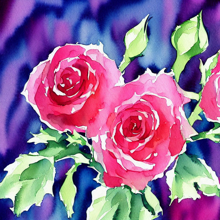 Three pink roses watercolor painting on abstract purple and blue background