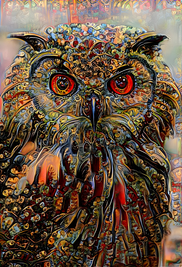 Red Eyed Owl
